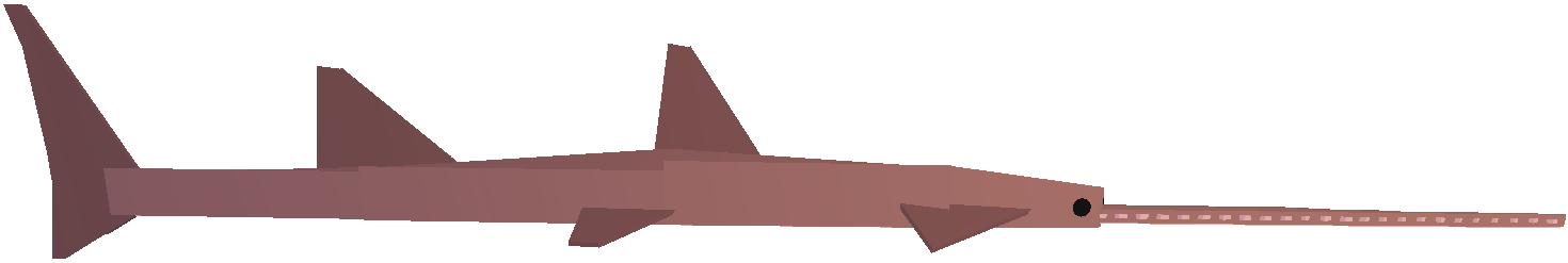 Sawfish