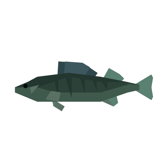 Walleye